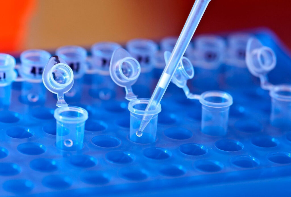 Whole-Genome Screening of Embryos Poised to Reshape Pregnancy, But Ethical & Practical Hurdles Remain