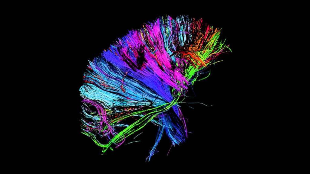 Injectable Hydrogels Move to the Forefront of Neural-Repair Research