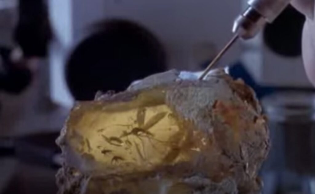 Artificial Egg Breakthrough Pushes Moa De-Extinction Effort Forward