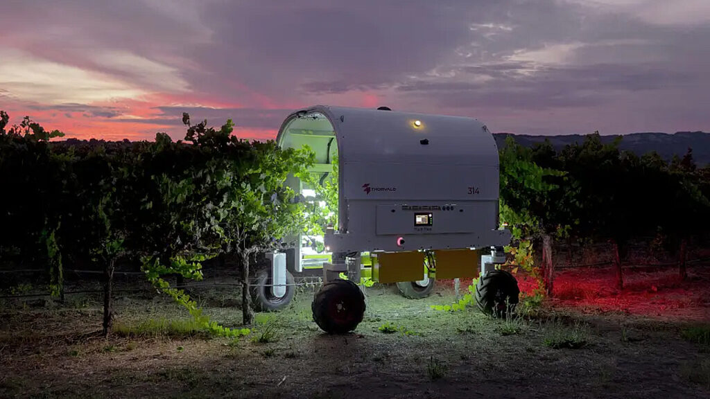 California Vineyards Turn to UV-C Robots to Fight Powdery Mildew